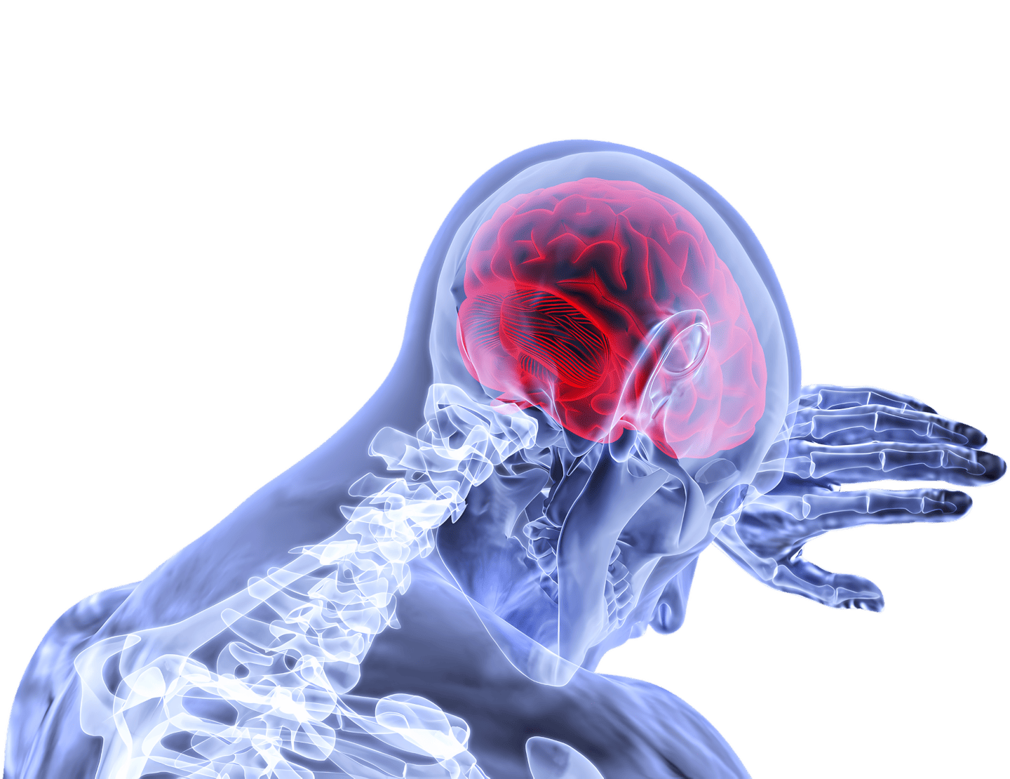 Selbsthilfe-Kompetenz Zentrum für Kopf-Hals-Tumore im Großraum Bremen & Bremerhaven